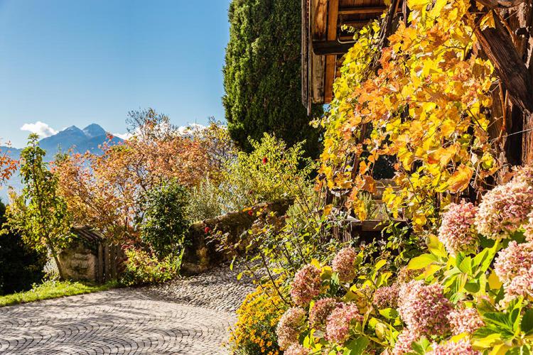 Herbstliche Färbung am Wanderweg von Schenna