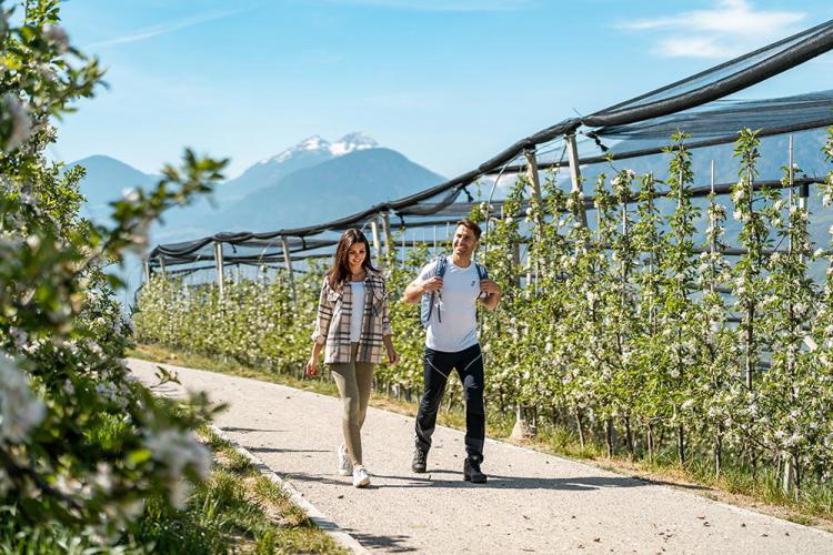 Il Waalweg di Scena in primavera (sentiero lungo la roggia)